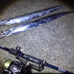 激濁りタチウオ釣行