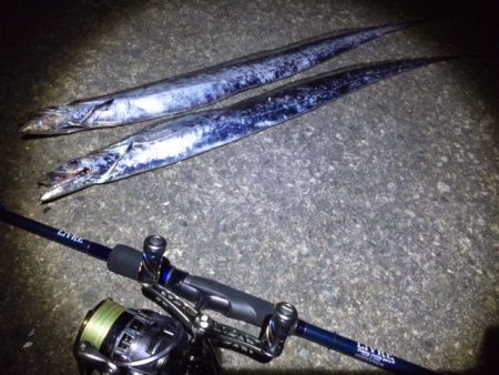 激濁りタチウオ釣行