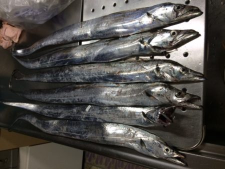 久々タチウオ釣行