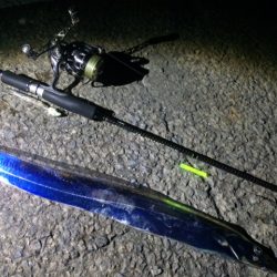 サマータッチ―