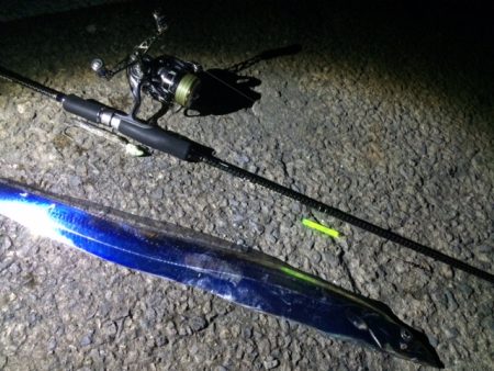 サマータッチ―