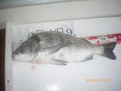 姫路市立遊魚センター 投稿