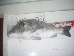 姫路市立遊魚センター 投稿