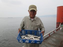 サビキでアジゲット！尼崎市立魚つり公園