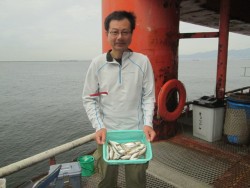 尼崎市立魚つり公園　サビキで数釣り