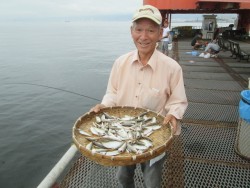 尼崎市立魚つり公園<アジを１００匹と…