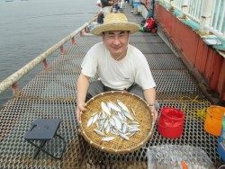 尼崎市立魚つり公園 サビキで数釣り