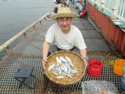 尼崎市立魚つり公園　サビキで数釣り