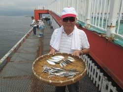 尼崎市立魚つり公園 サビキで数釣り