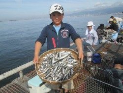 尼崎市立魚つり公園 サビキ釣り今日も好調です