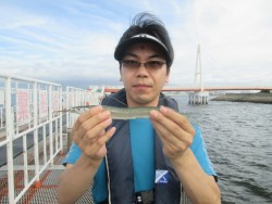 尼崎市立魚つり公園　良型サヨリ回ってきまし…