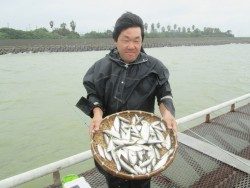 尼崎市立魚つり公園 　大雨の中サッパ、アジ