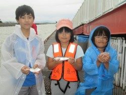 尼崎市立魚つり公園 　大雨の中サッパ、アジ