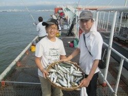 尼崎市立魚つり公園　サビキ好釣果