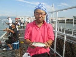 尼崎市立魚つり公園　サビキ好釣果