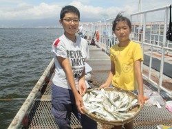 尼崎市立魚つり公園　アジ、サッパ、数釣れてます