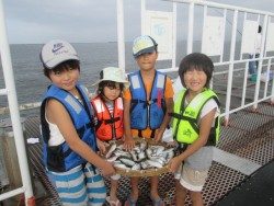 尼崎市立魚つり公園　アジ、サッパ、数釣れてます