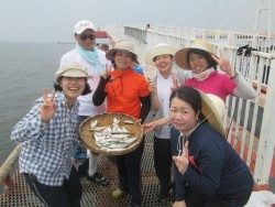 尼崎市立魚つり公園　サヨリも好調です！
