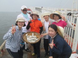 尼崎市立魚つり公園　サヨリも好調です！