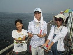 尼崎市立魚つり公園　サヨリも好調です！