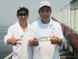 尼崎市立魚つり公園　アジがよく釣れています…