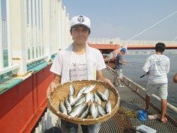 尼崎市立魚つり公園　アジがよく釣れています