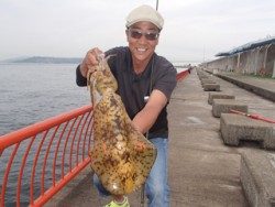 キロアップ！平磯でのエギング釣果