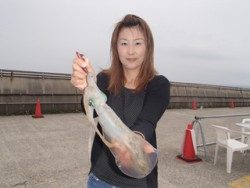 神戸市立平磯海づり公園 中層でナイスサイズのアオリイカ