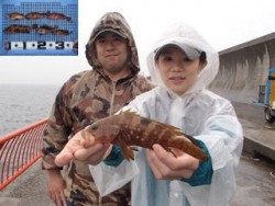 神戸市立平磯海づり公園　アコウ、他