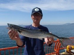 神戸市立平磯海づり公園　サワラ62cm