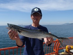 神戸市立平磯海づり公園　サワラ62cm