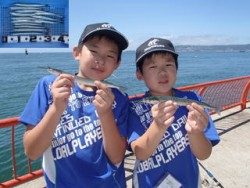 平磯海釣り公園　ウキ釣りでサヨリの釣果