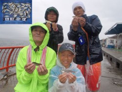 神戸市立平磯海づり公園　サビキでアジ75匹…