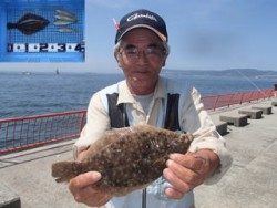 神戸市立平磯海づり公園　投げ釣りでカレイほか