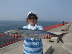 神戸市立平磯海づり公園　69cmのサワラがHIT！