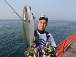 神戸市立平磯海づり公園　ルアーでツバス 	…