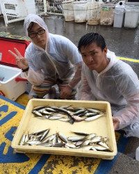 和歌山マリーナシティ海釣り公園　サビキでアジ、他