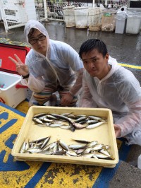 和歌山マリーナシティ海釣り公園　サビキでア…