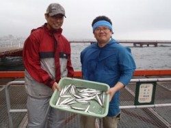 神戸市立須磨海づり公園　サビキでイワシ