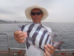 神戸市立須磨海づり公園 落とし込みでイシダ…