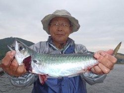 須磨海づり公園、ウキサビキでサバ40cm★