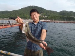 神戸市立須磨海づり公園　ノマセでハネ