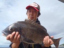 神戸市立須磨海づり公園　チヌ53cm