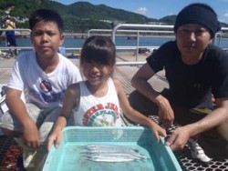 須磨海釣り公園　サビキでサヨリの釣果出てま…