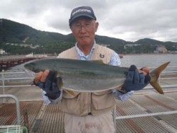 神戸市立須磨海づり公園　メジロ62cm