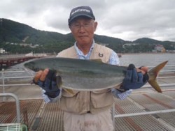 神戸市立須磨海づり公園　メジロ62cm