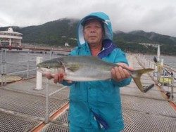 神戸市立須磨海づり公園　メジロ66cm