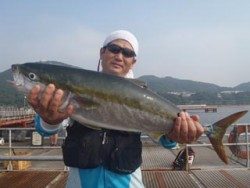 神戸市立須磨海づり公園　メジロ 	74.8cm！