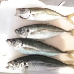 あれは一体……………………。