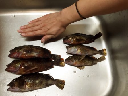 今日はおいしく頂けそう(^_^)